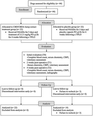 Evaluation of the efficacy of a cannabidiol and cannabidiolic acid rich hemp extract for pain in dogs following a tibial plateau leveling osteotomy